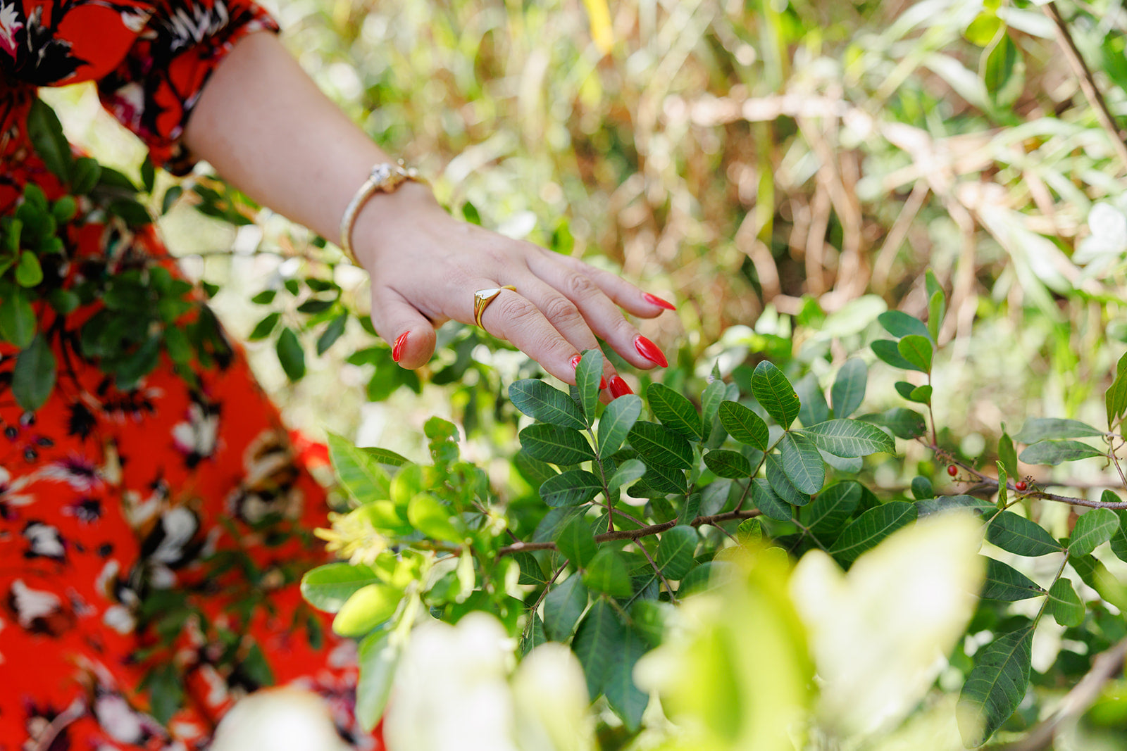 A close-up of a woman's hand with red nail polish and gold rings gently touching green leaves. She wears a floral red dress, symbolizing connection with nature, grounding, and mindful presence.