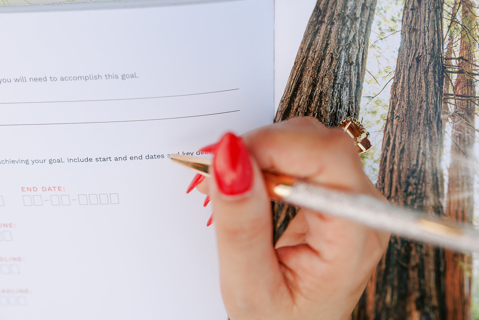 PLANT Your Life Lab | 4-Week Guided Clarity & Action Experience