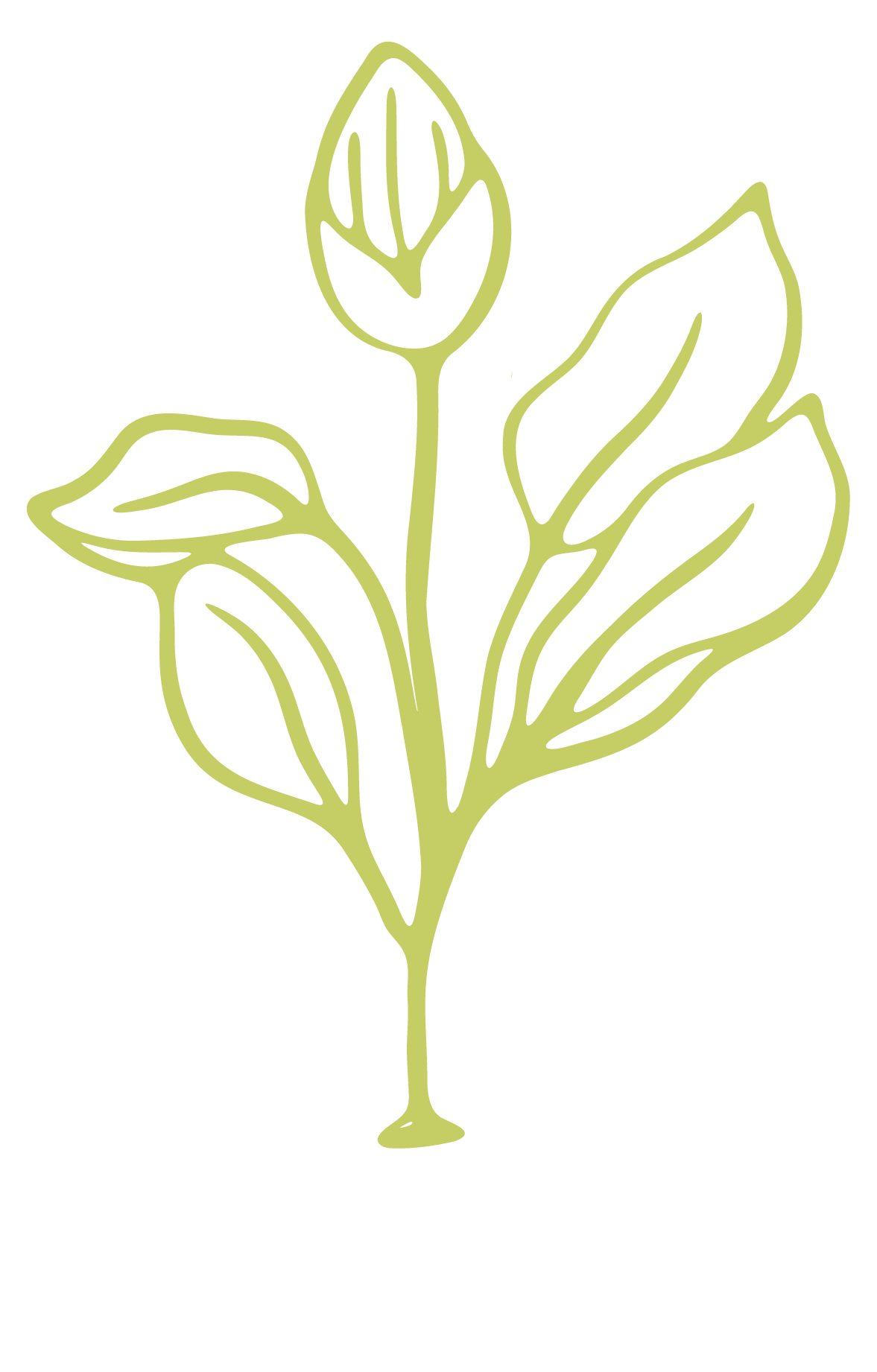 A minimalistic green line drawing of a budding plant with multiple leaves and a closed flower bud, symbolizing growth, transformation, and new beginnings.