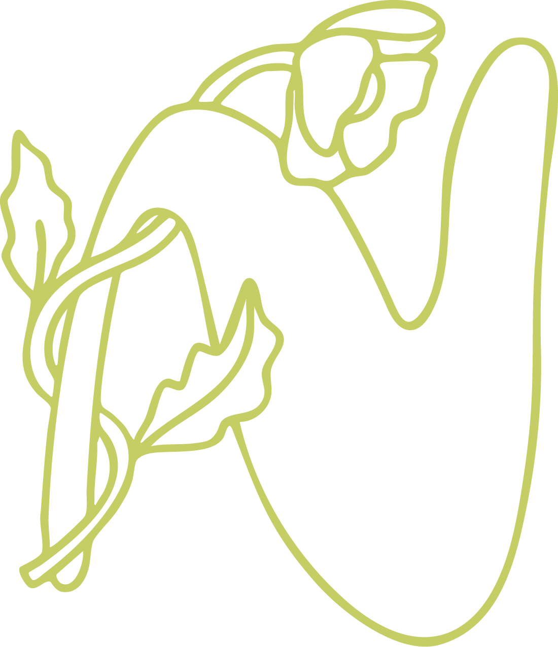 A botanical letter "N" outlined in green, with intertwining leaves and flowers, symbolizing nature’s cycle of planting and flourishing.