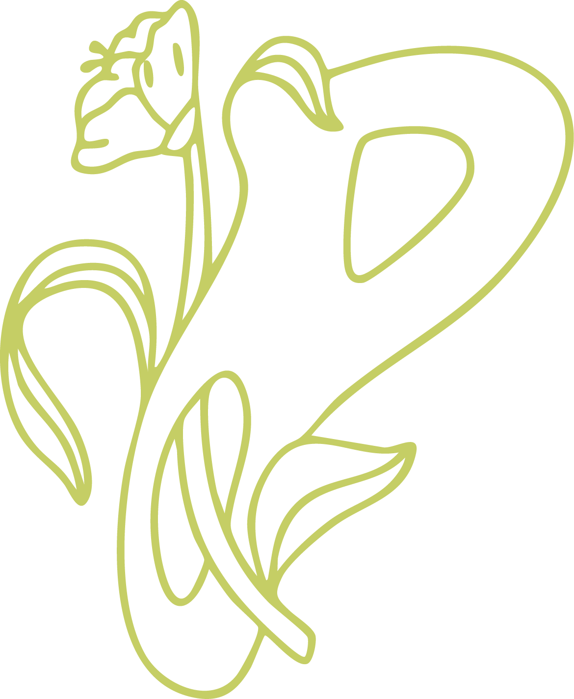 A botanical-inspired letter "P" outlined in green, intertwined with leaves and a blooming flower, symbolizing growth and nature.