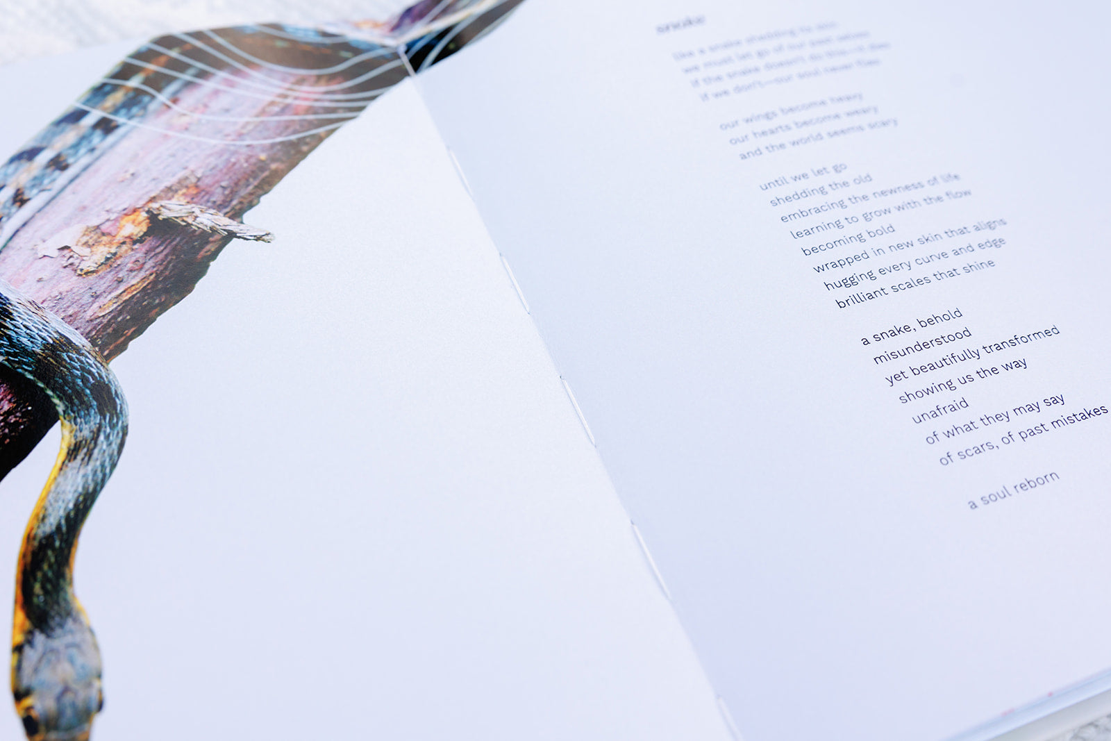 A close-up of an open planner featuring a poem about transformation, alongside a photograph of a snake shedding its skin on a tree. The text reflects themes of renewal, resilience, and personal evolution.