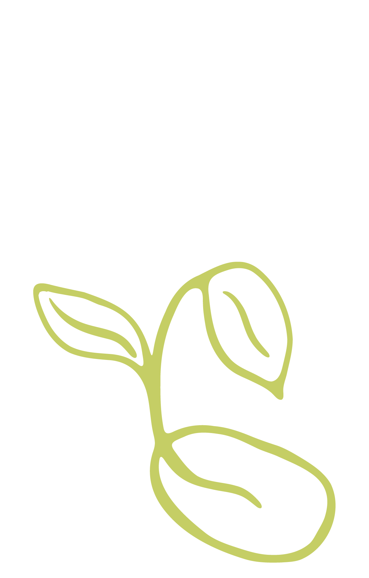 A minimalistic green line drawing of a sprouting seed with two leaves, symbolizing new beginnings, growth, and transformation.