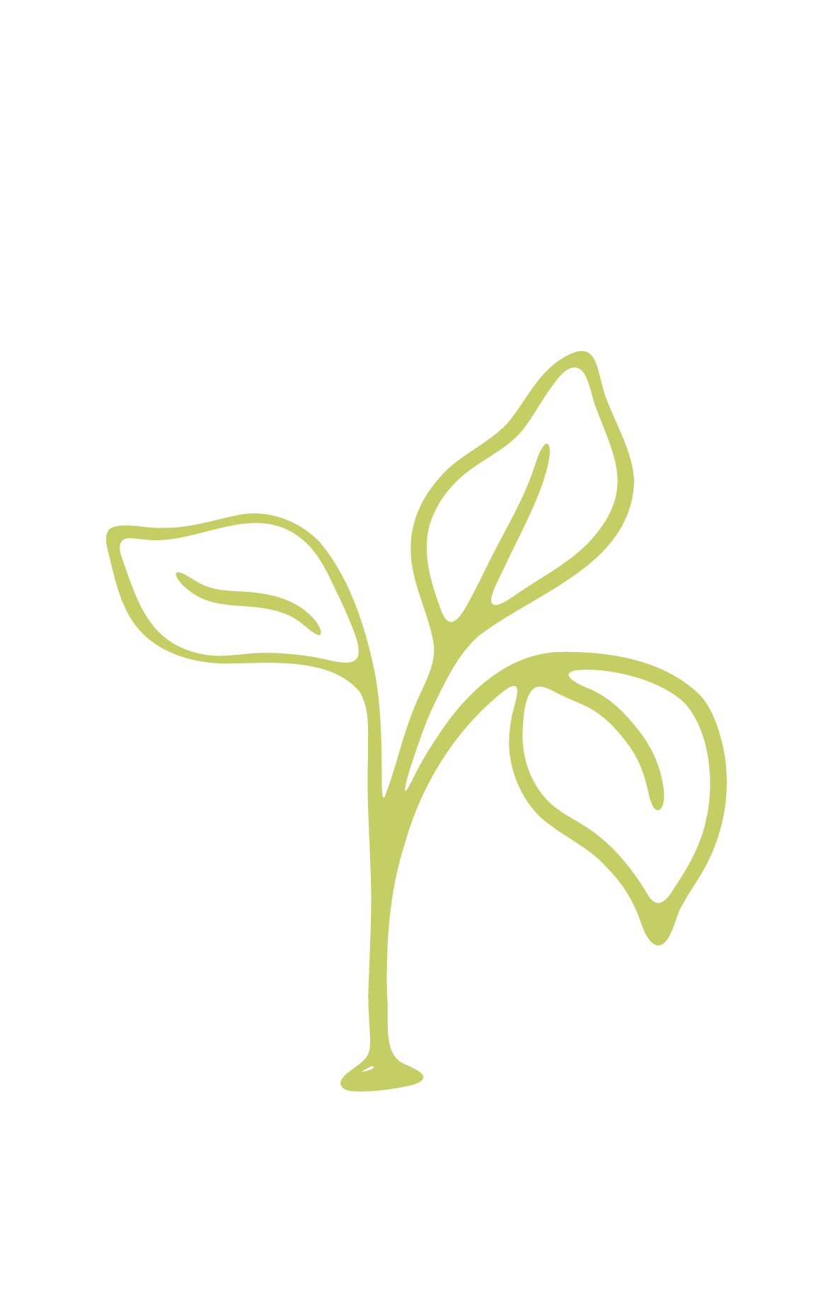 A minimalistic green line drawing of a young sprout with three leaves, symbolizing new beginnings, growth, and nurturing potential.